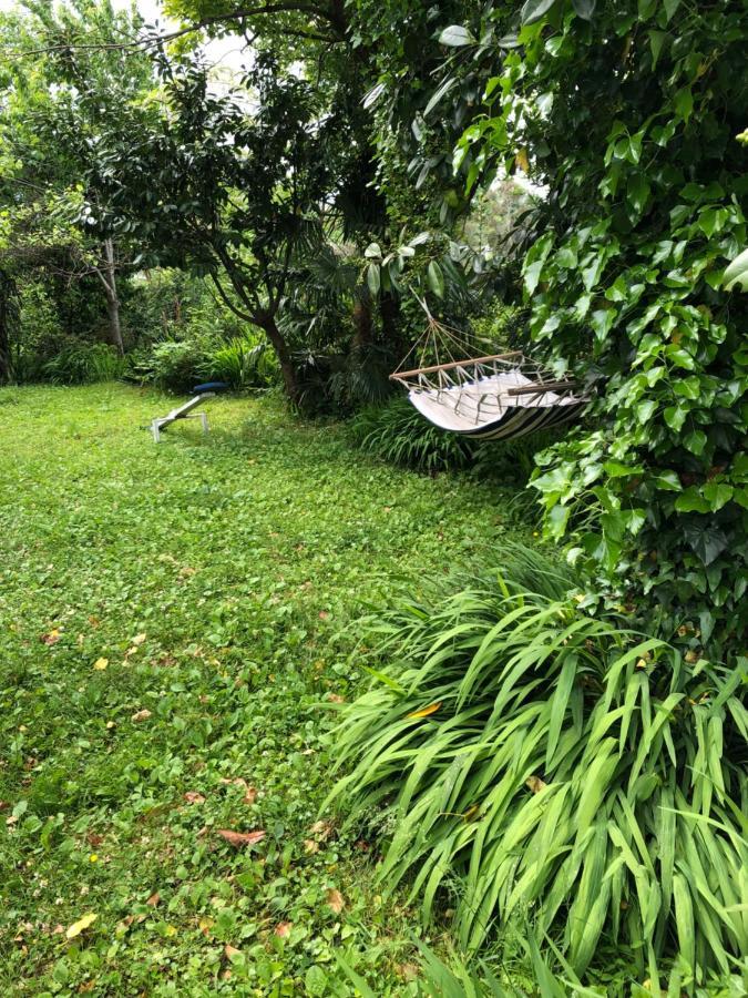 Hostel Eco Chakvi Dış mekan fotoğraf