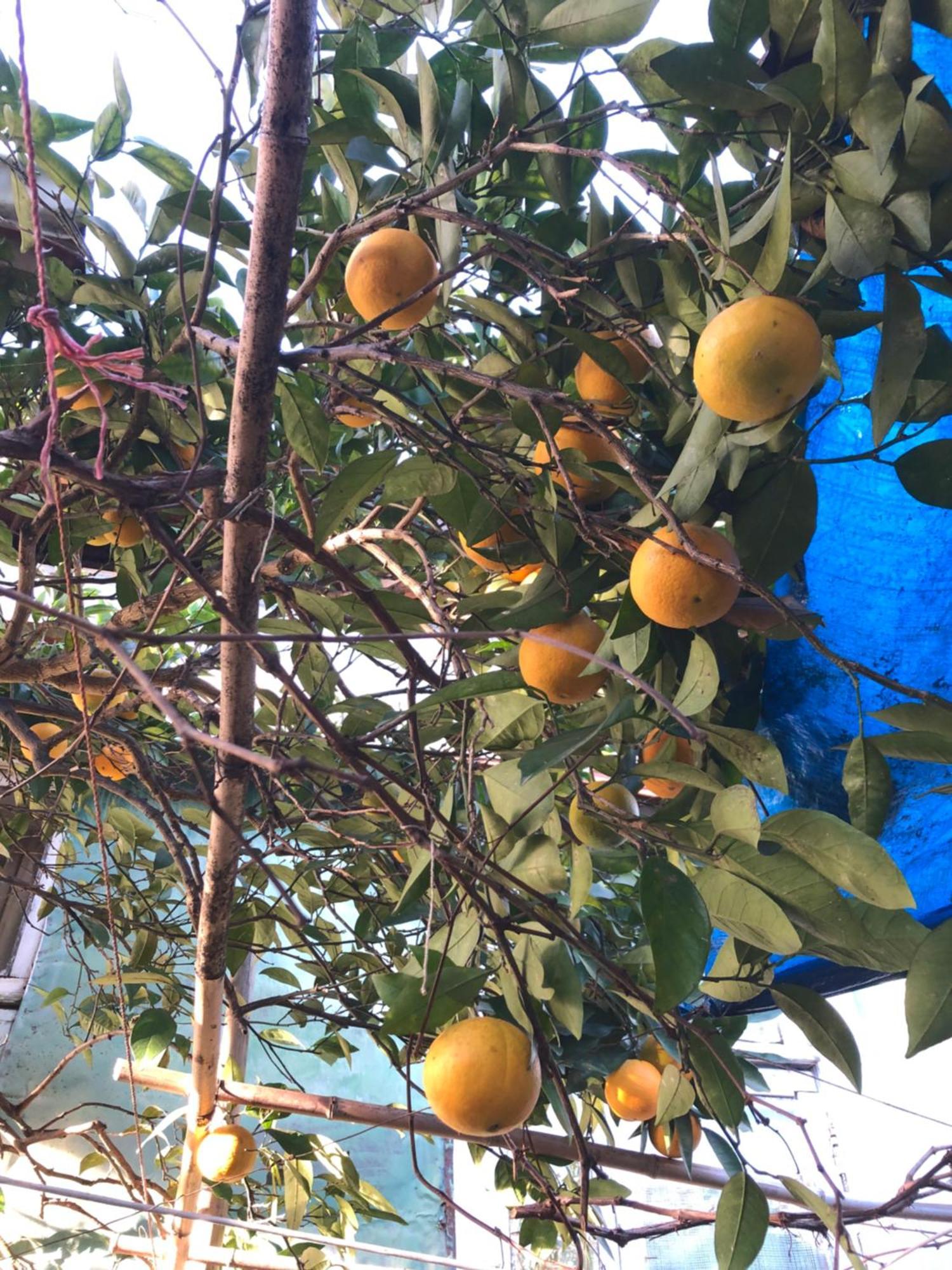 Hostel Eco Chakvi Dış mekan fotoğraf