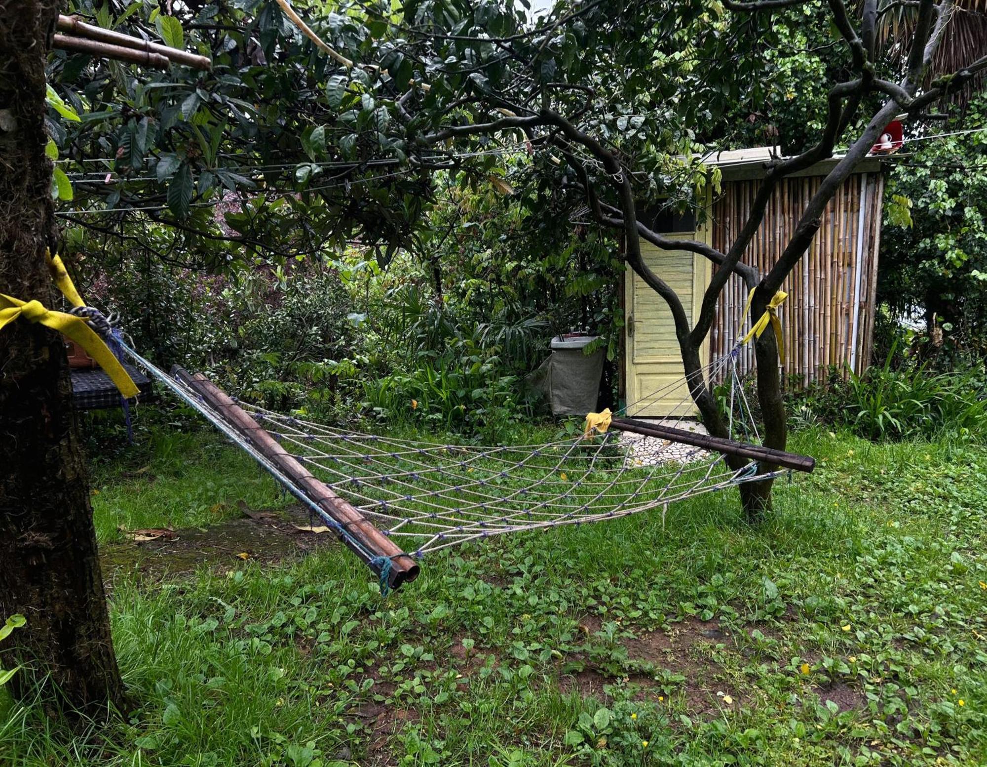 Hostel Eco Chakvi Dış mekan fotoğraf